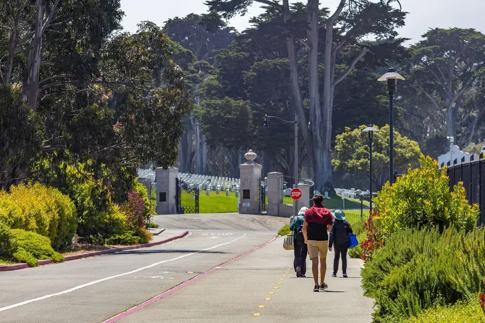 Local Expertise for La Mirada Mold Challenges — La Mirada, CA