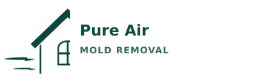 Pure Air Mold Removal